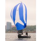 Rolly Tasker Spinakker, standard méret